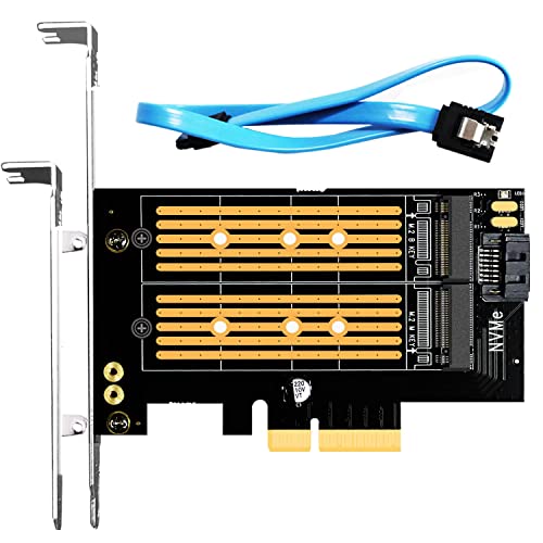 GLOTRENDS PA12 2-in-1 M.2 PCIe 4.0 X4 Adapter für eine M.2 NVMe SSD und eine M.2 SATA SSD, unterstützt 2230/2242/2260/2280 M.2 SSD