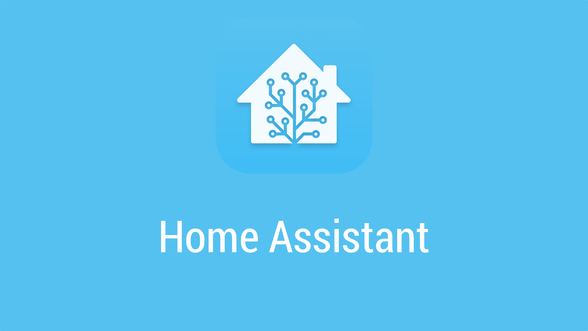 home assistant